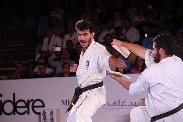 Martial Arts Festival